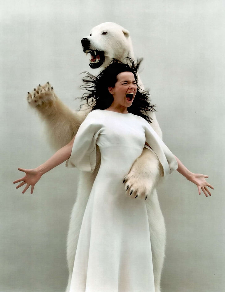 bjrk polar bears 1600x2082  Animals Bears HD Art, Björk