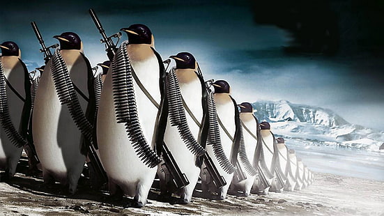 HD wallpaper: army, humor, Penguins, water, sea, nature, in a row, no  people | Wallpaper Flare