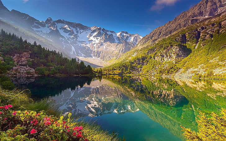 nature, landscape, lake, wildflowers, mountains, reflection, HD wallpaper