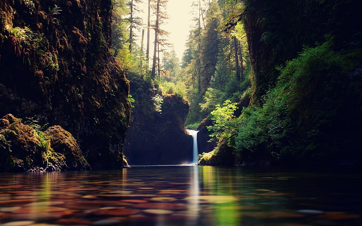 long exposure photo of body of water, waterfall, tree, plant