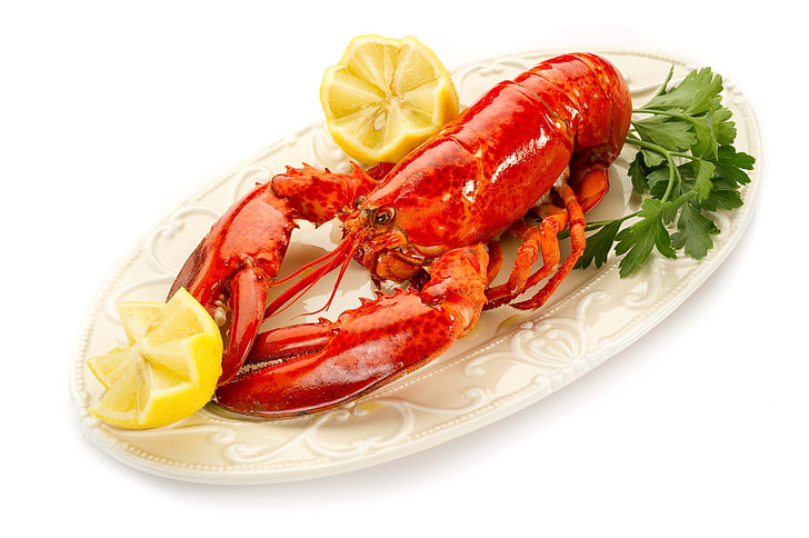 steamed lobster, parsley, plate, lemons, dish, seafood, gourmet, HD wallpaper