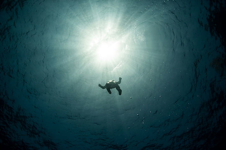 underwater, sunlight, undersea, scuba diving, aquatic sport, HD wallpaper