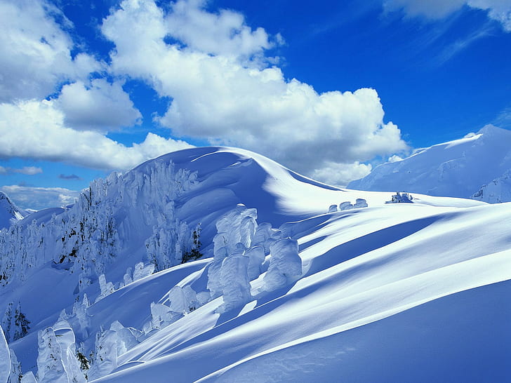 mountains, snow, trees, snowy peak, nature, HD wallpaper