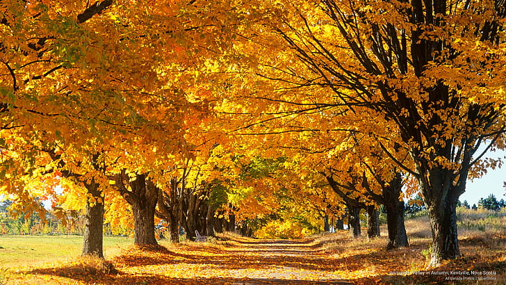 Annapolis Valley in Autumn, Kentville, Nova Scotia, Fall, HD wallpaper