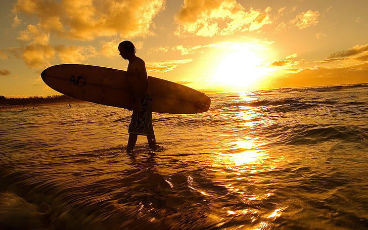 landscape, surfboards, sunset, men, HD wallpaper
