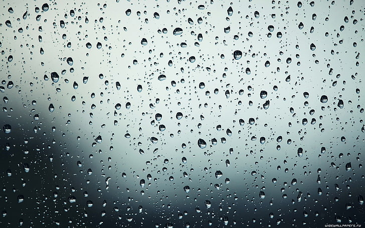 water drops, wet, rain, transparent, full frame, raindrop, window, HD wallpaper