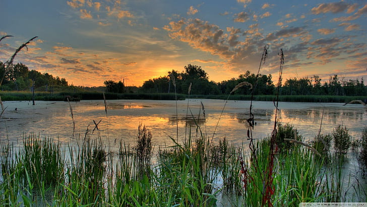 Sunrise Over Pond In Minnesota Refuge, trees, reeds, sunruse