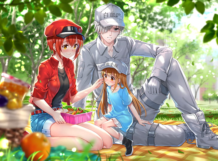 Hataraku Saibou, Platelet-chan, Blood (anime), short hair, picnic