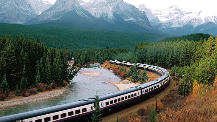 train, mountains, forest, river, landscape, tree, plant, scenics - nature
