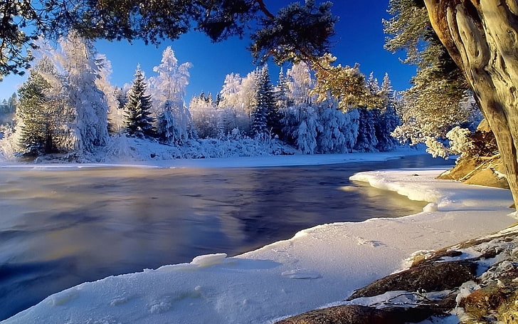body of water, river, cold, ice, coast, hoarfrost, wood, frozen