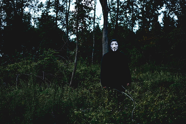 guy fawkes mask, man, forest, anonymous, nature, outdoors, people, HD wallpaper