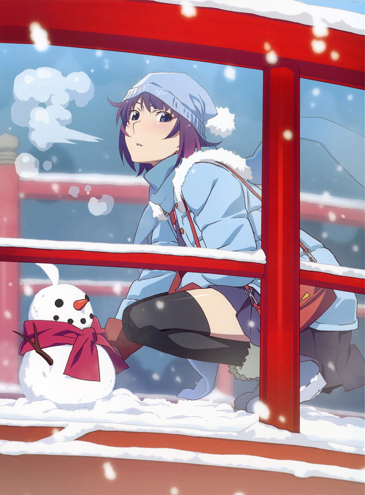 purple haired female anime character illustration, Senjougahara Hitagi