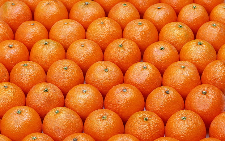 assorted oranges fruits, Wall, Food, citrus Fruit, freshness, HD wallpaper
