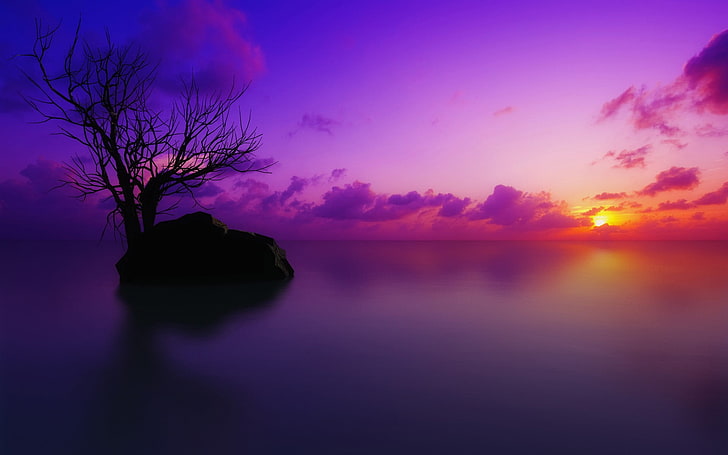 sea, water, sunset, trees, sky, sunlight, nature, tranquility