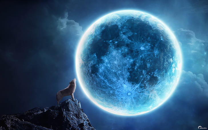 animals, art, CG, clouds, digtal, dogs, fantasy, howling, landscapes, HD wallpaper