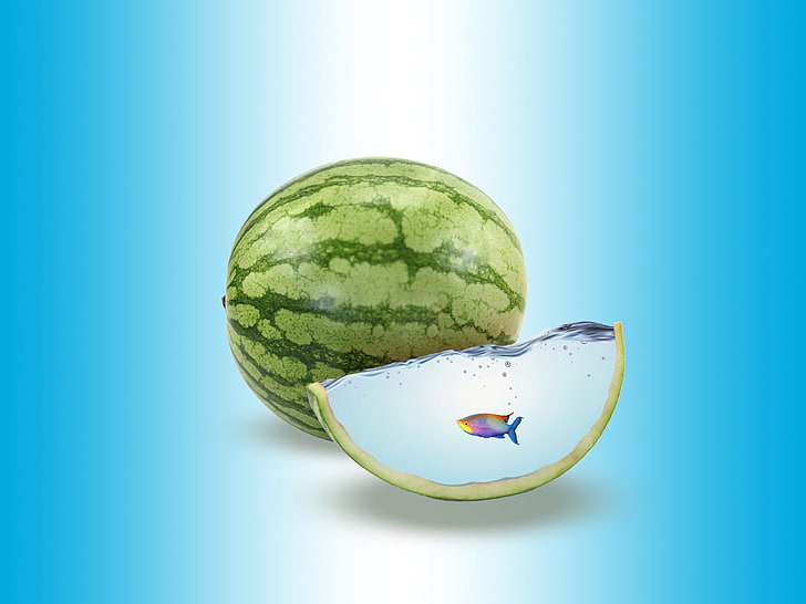 watermelon fruit, fish, watermelons, digital art, studio shot