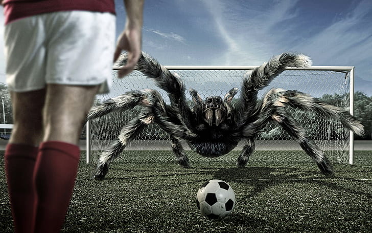 3d view soccer spiders 1680x1050  Sports Football HD Art