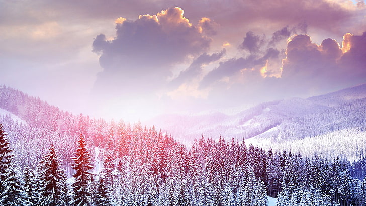 snowy mountain trees, winter, mountains, plant, beauty in nature, HD wallpaper