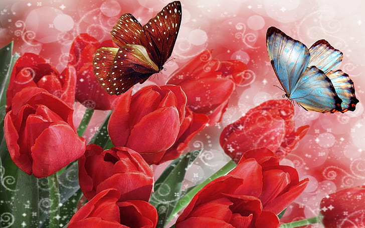 2560x800px | free download | HD wallpaper: Tulips Butterflies Flowers Bokeh  Butterfly 2560×1600 | Wallpaper Flare