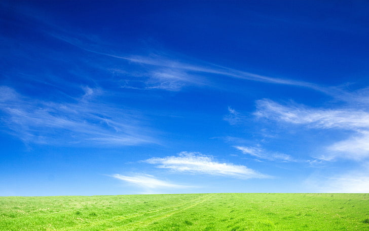 Green grass with blues sky background 7494324 Vector Art at Vecteezy