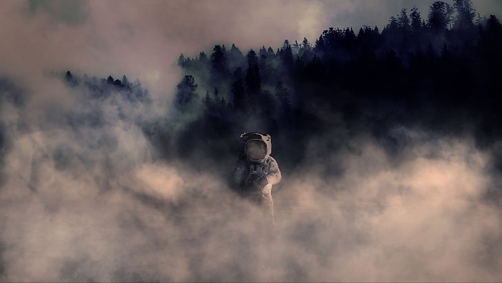 astronaut, smoke, space suit, forest, trees, cloud - sky, nature, HD wallpaper