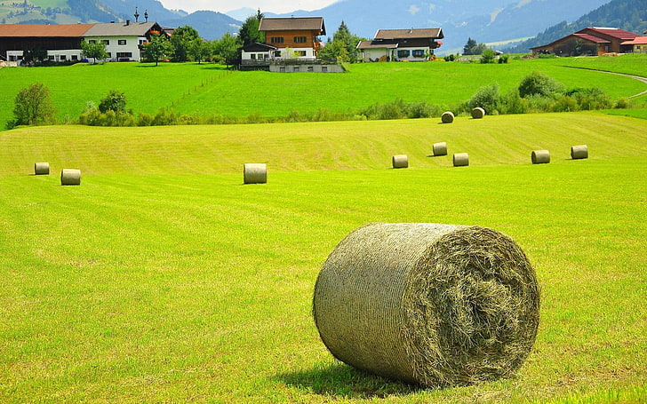 nature, landscape, hay, field, haystacks, Austria, grass, house, HD wallpaper