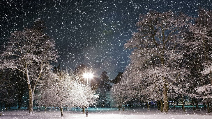 Snowfall, white snow, trees, snowflakes, bluesky, lamppost, winter