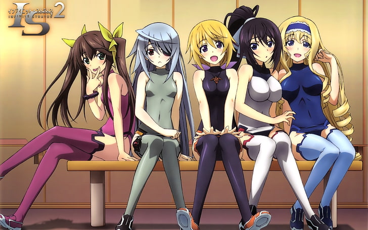 anime girls, Infinite Stratos, Shinonono Houki, Dunois Charlotte, HD wallpaper
