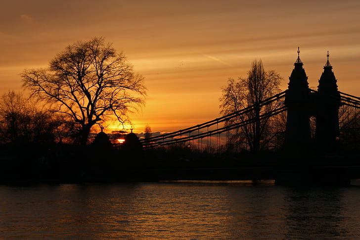 silhouette photo of suspension bridge, hammersmith bridge, london, hammersmith bridge, london
