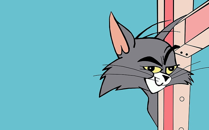HD wallpaper: Tom from Tom and Jerry wallpaper | Wallpaper Flare