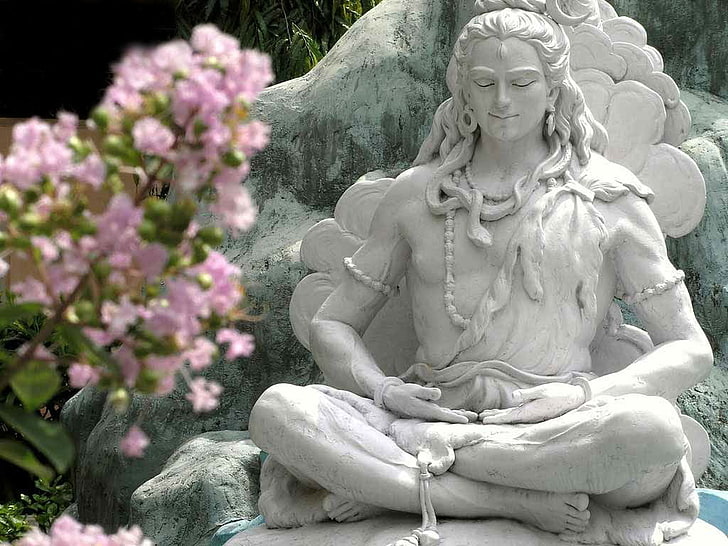 Lord Shiva Complete Self Possession, statue of a man, God, flower, HD wallpaper