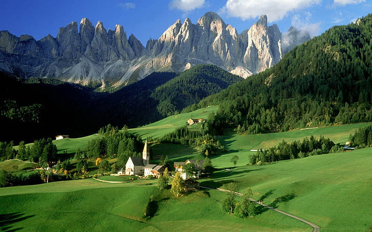 Alpine village, green grassfield, world, 1920x1200, forest, mountain