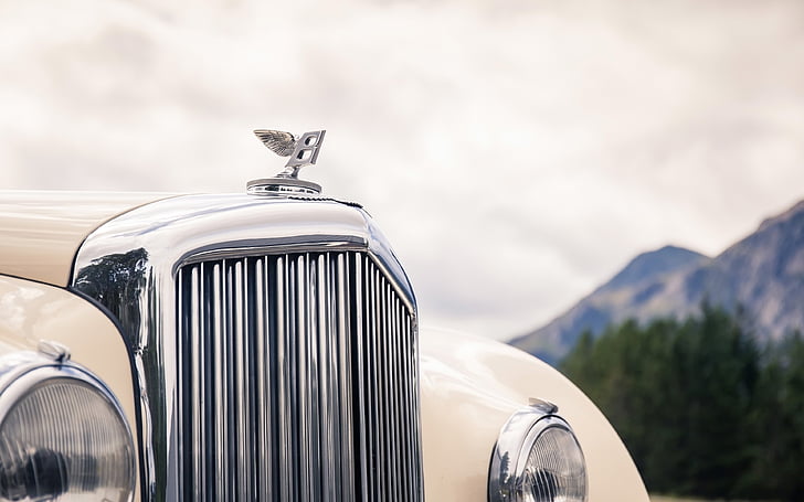 1952, auto, automobile, bentley, car, continental, luxury, r-type, HD wallpaper