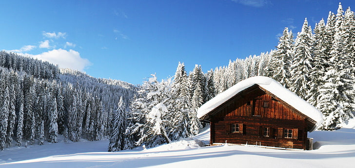 brown wooden house, winter, forest, the sky, clouds, snow, nature