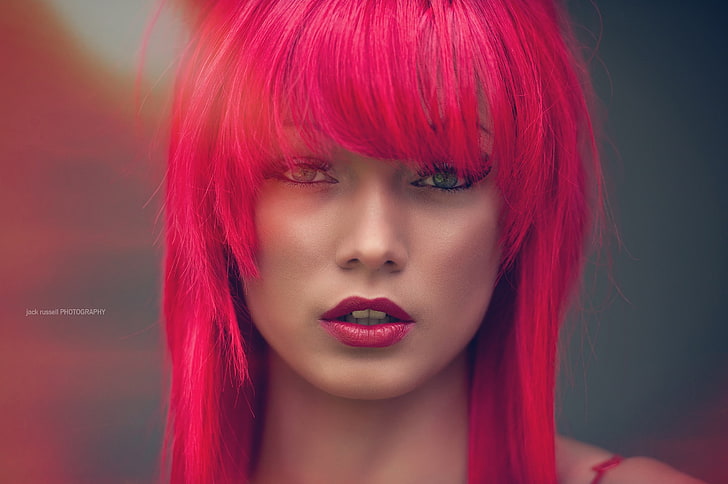 women, redhead, dyed hair, face, portrait, Jack Russell, beauty, HD wallpaper