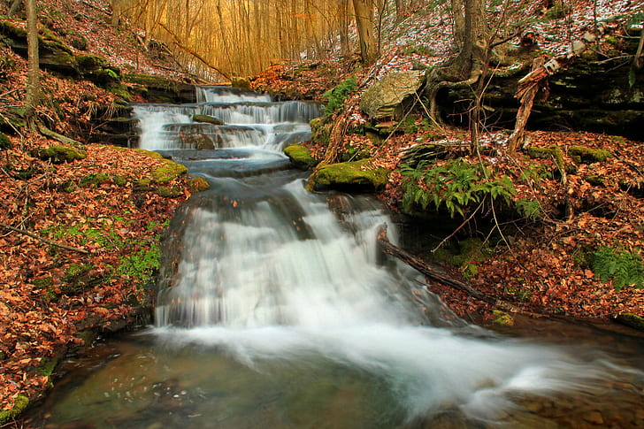 river stream, Wolf Run, Pennsylvania, Lycoming County, Tiadaghton State Forest