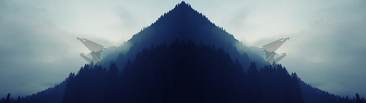 HD wallpaper: Aorus, Dual Monitors, eagle, forest, landscape, Simple |  Wallpaper Flare