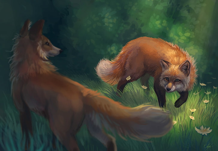 illustration, animals, fox, nature, artwork, animal themes