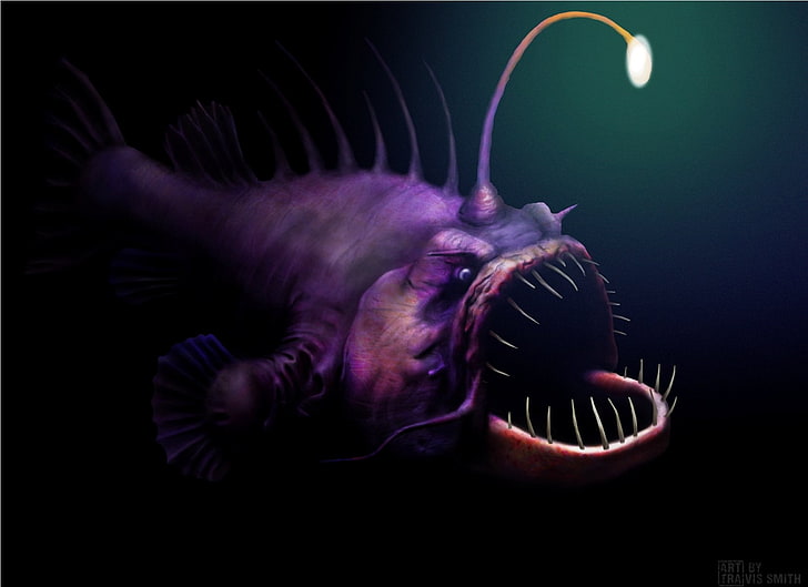 HD wallpaper: anglerfish, creepy, dark, fangs, monster, ocean, sea,  underwater