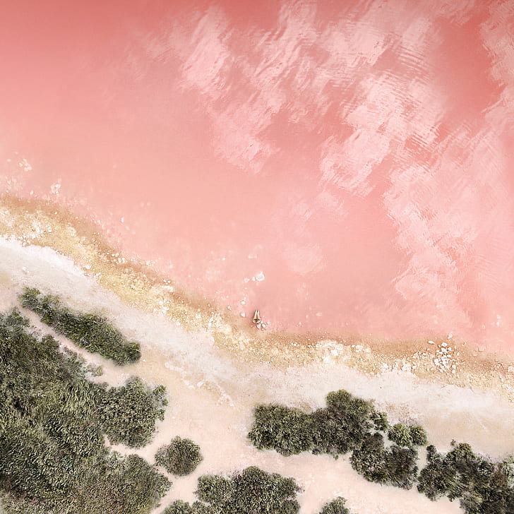 Alone, Baby pink, Stock, Beach, Rocks, HD wallpaper