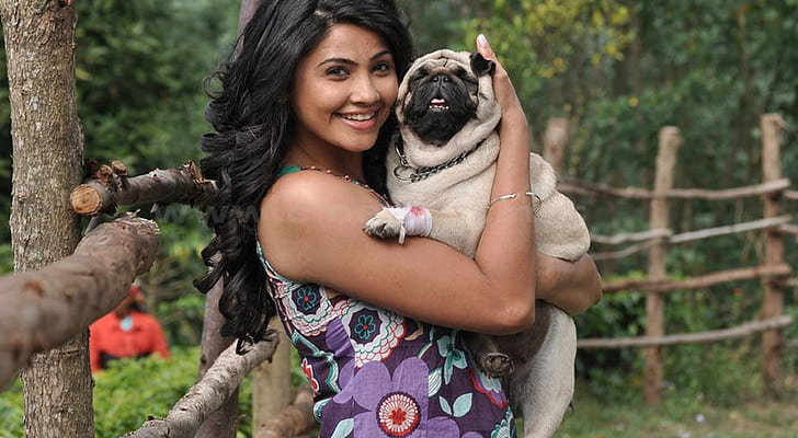 Daisy Shah With Dog   Photoshoot