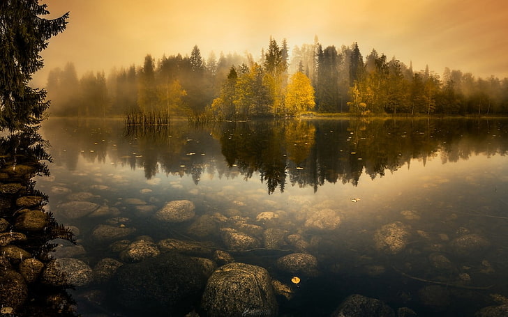 rocks on lake, rocks underwater and trees at distance during golden hour