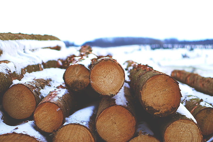 brown logs, snow, wood, nature, winter, timber, large group of objects