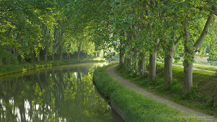 Tow Path, Canal du Midi, Languedoc, France, Spring/Summer, HD wallpaper