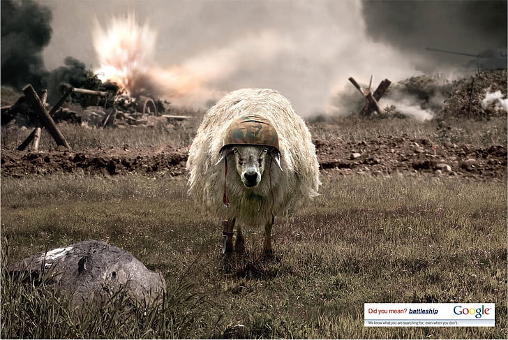 white sheep digital wallpaper, battle, helmet, animal, animal themes