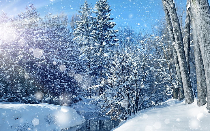 images of natures beauty 1920x1200, snow, winter, cold temperature, HD wallpaper