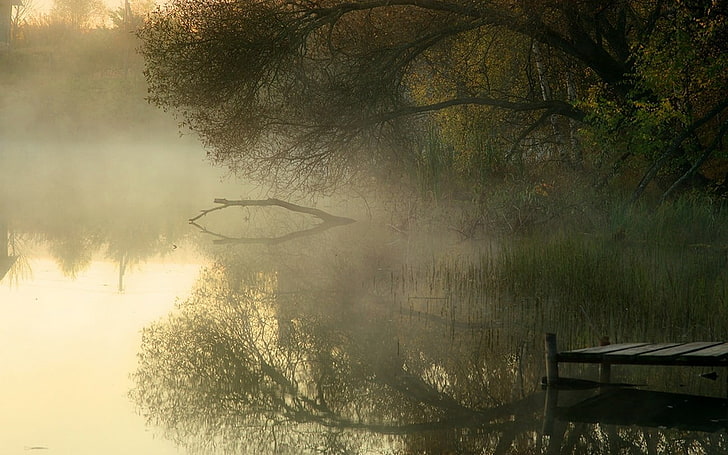 body of water, landscape, nature, lake, dock, trees, mist, reeds