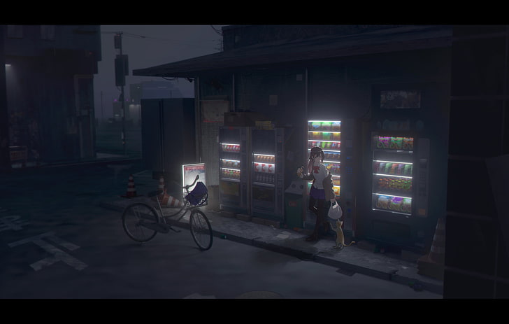 anime girls, dark, night, urban, city, bicycle, cat, transportation