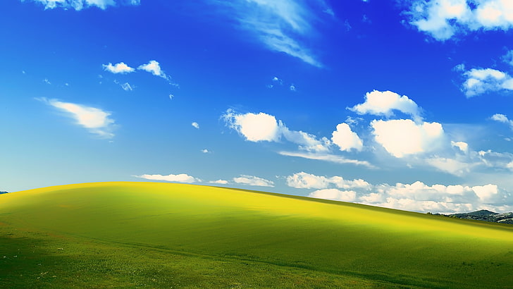 HD wallpaper: green grass field under the blue skies wallpaper, Microsoft  Windows | Wallpaper Flare