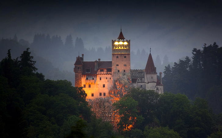 Dracula's Castle, trees, lights, transylvania, foggy, misty, romania, HD wallpaper